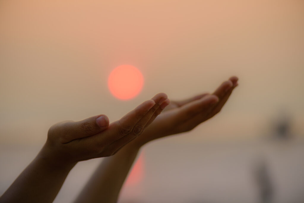 Fernreiki für Frauen & Bachblütenberatung für Hunde & Katzen. Energetische Begleitung mit Herz, Intuition & Verbindung zur Seele – Energiearbeit.