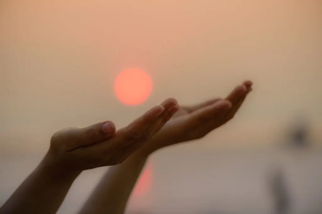 Fernreiki für Frauen & Bachblütenberatung für Hunde & Katzen. Energetische Begleitung mit Herz, Intuition & Verbindung zur Seele – Energiearbeit.