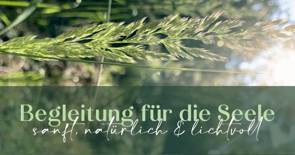 Fernreiki für Frauen & Bachblütenberatung für Hunde & Katzen. Energetische Begleitung mit Herz, Intuition & Verbindung zur Seele – Energiearbeit.