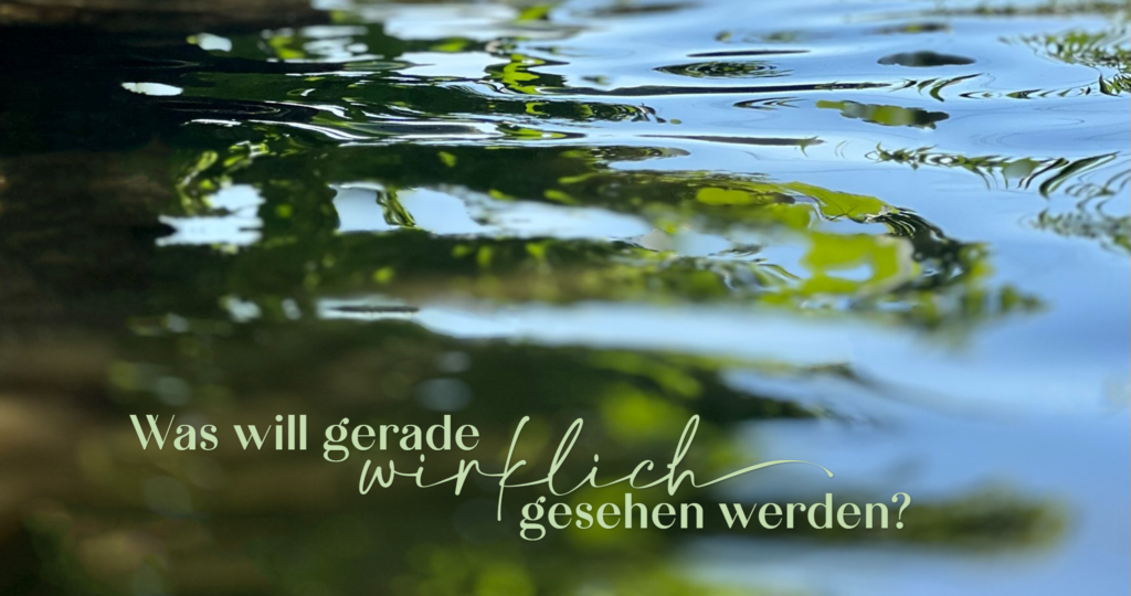 Persönliche Begleitung für Frauen - Raum für Klarheit und innere Ordnung